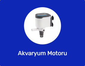 Akvaryum Motoru