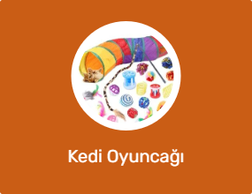 Kedi Oyuncağı