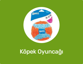 Köpek Oyuncağı
