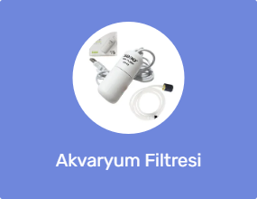 Akvaryum Filtresi