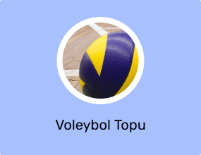 Voleybol Topu