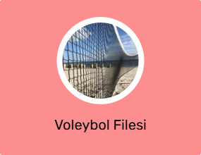 Voleybol Filesi