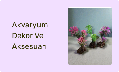 Akvaryum Dekor Ve Aksesuarı