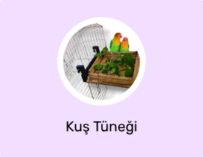 Kuş Tüneği