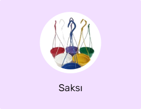 Saksı