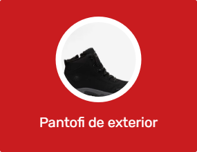 Pantofi de exterior