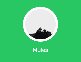 Mules