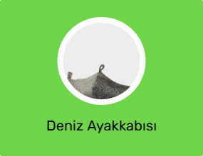 Deniz Ayakkabısı