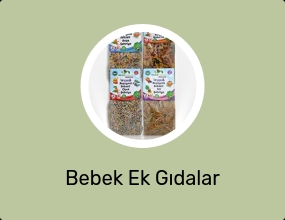 Bebek Ek Gıdalar