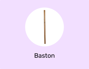 Baston