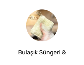 Bulaşık Süngeri & Fırçası
