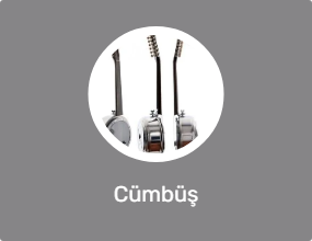Cümbüş
