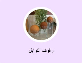 رفوف التوابل