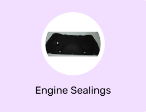 Engine Sealings