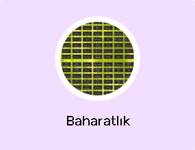 Baharatlık