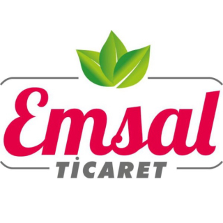 EMSALSİZDÜKKAN logo