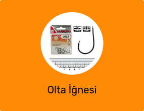 Olta İğnesi