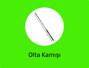 Olta Kamışı