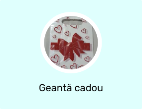 Geantă cadou