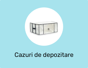Cazuri de depozitare