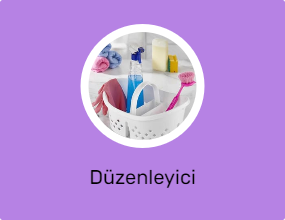 Düzenleyici