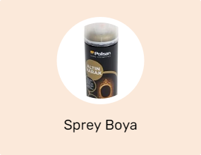 Sprey Boya