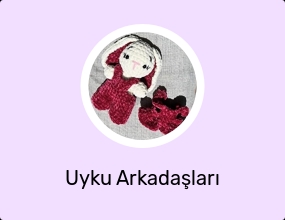 Uyku Arkadaşları