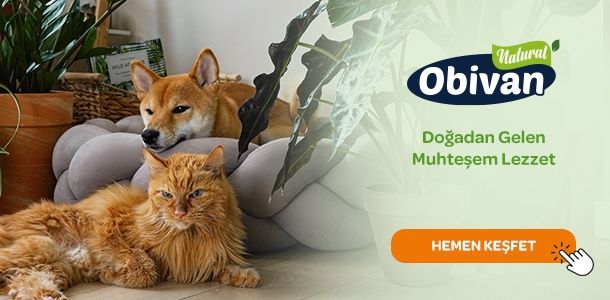 Obivan Kedi & Köpek Balık Yağı