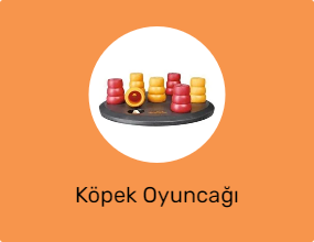 Köpek Oyuncağı