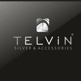 TELVİN SİLVER AKSESUAR logo