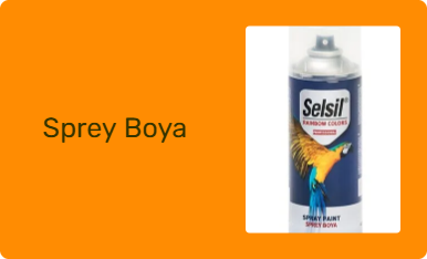 Sprey Boya