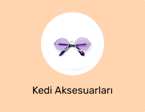 Kedi Aksesuarları