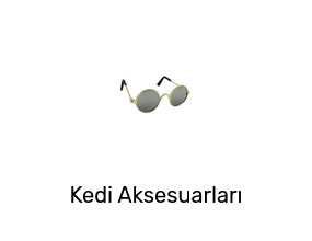 Kedi Aksesuarları
