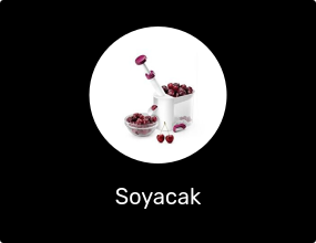 Soyacak