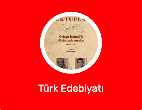 Türk Edebiyatı