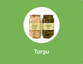 Turşu