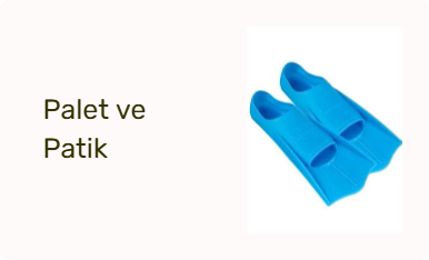 Palet ve Patik