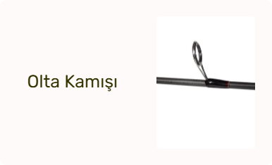 Olta Kamışı