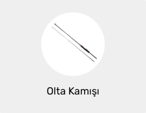 Olta Kamışı