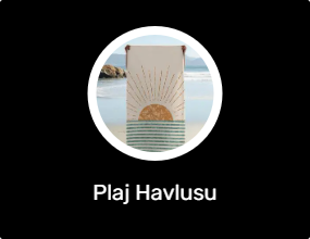 Plaj Havlusu