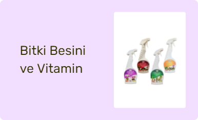 Bitki Besini ve Vitamin