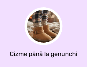 Cizme până la genunchi