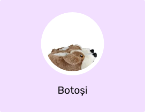 Botoși