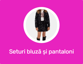 Seturi bluză și pantaloni