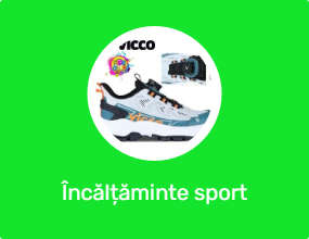 Încălțăminte sport