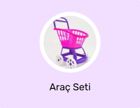 Araç Seti