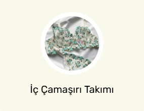 İç Çamaşırı Takımı