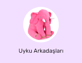 Uyku Arkadaşları