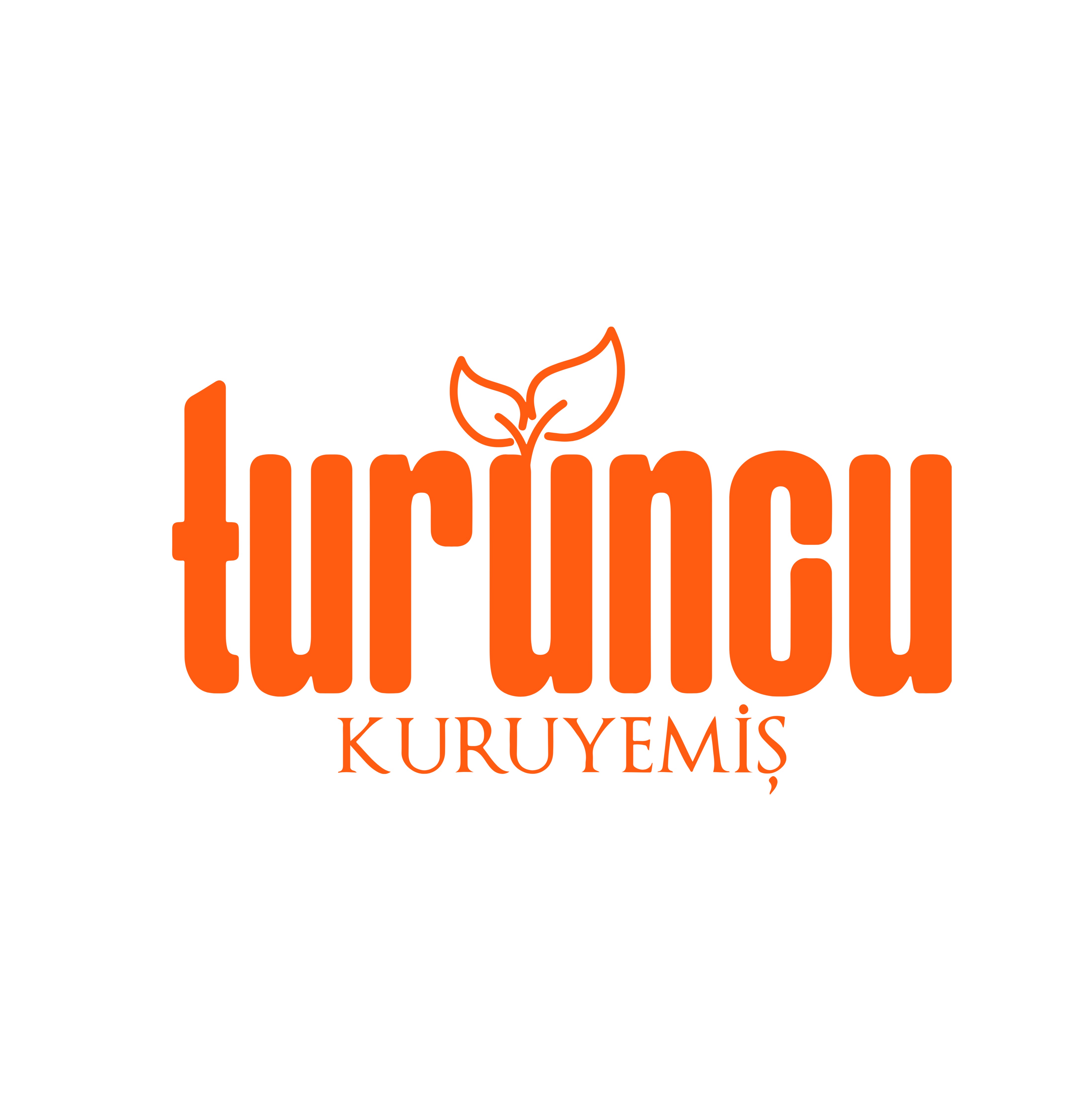 Turuncu Kuruyemiş