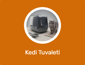 Kedi Tuvaleti
